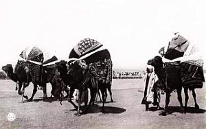 Images d'Algerie 130